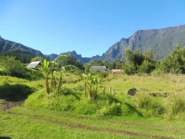 Lokipic - île de la Réunion