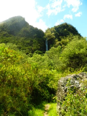 Lokipic - île de la Réunion